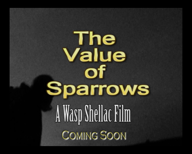 The Value of Sparrows